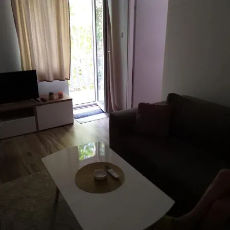 Mira Soko Banja