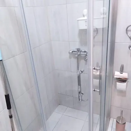 Mira Apartment Soko Banja